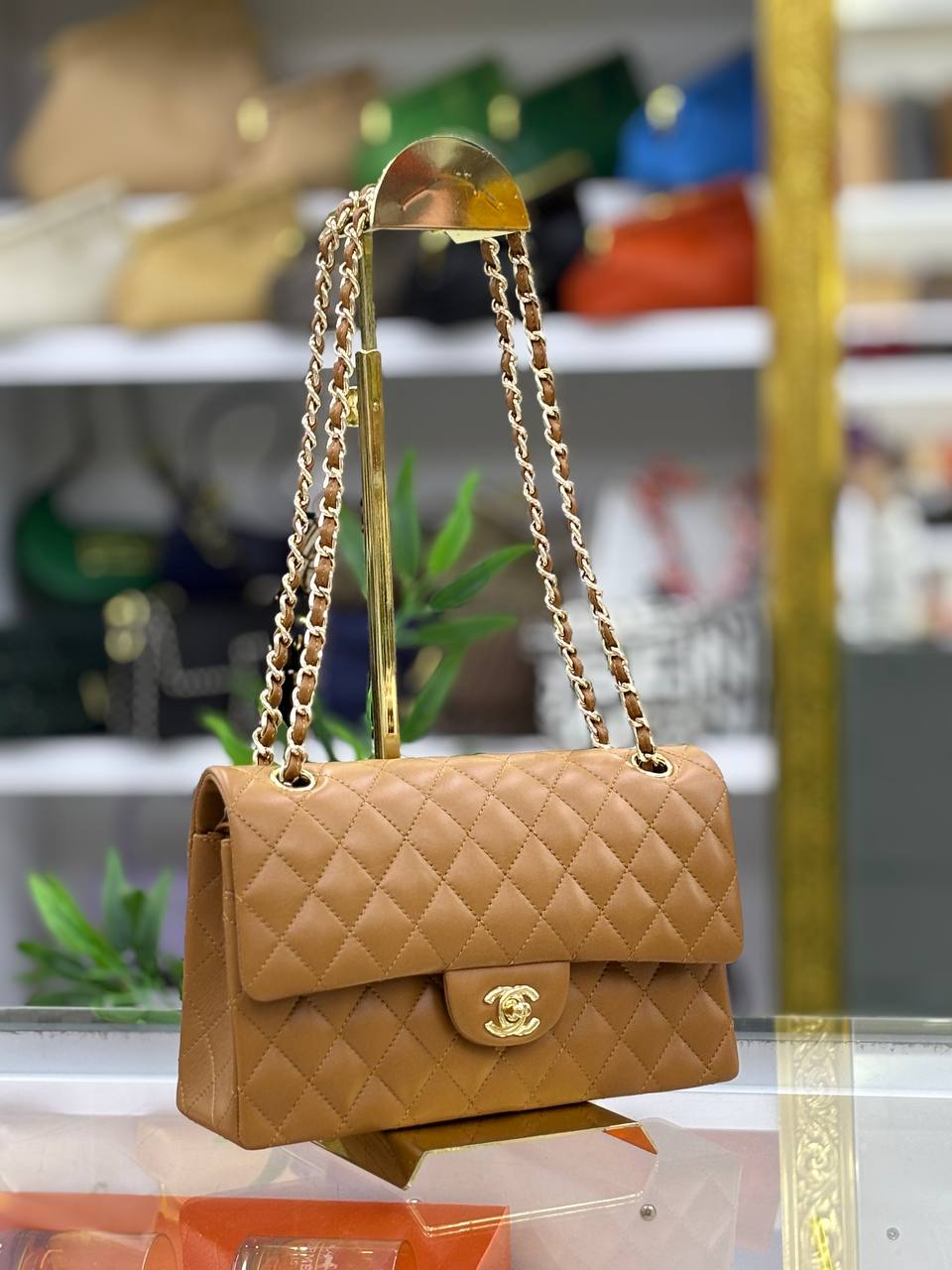 Classic Flap Bag 2.55 Medium | Quilted Lambskin | Gold Chain Strap