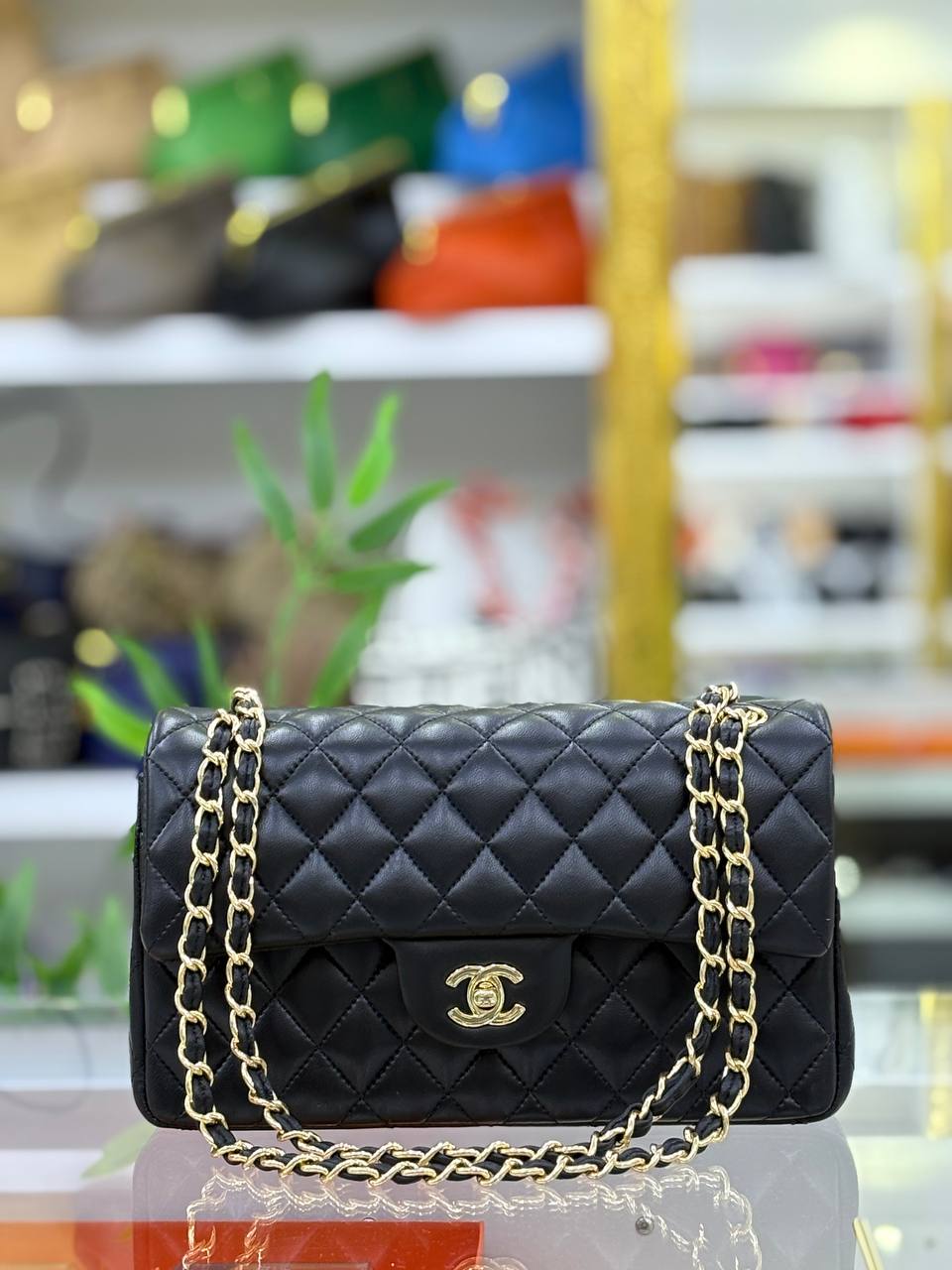 Classic Flap Bag 2.55 Medium | Quilted Leather | Gold Chain Strap