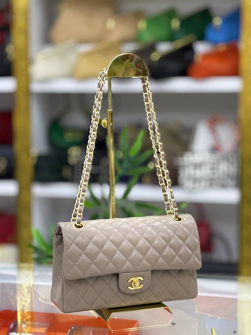 Classic Flap Bag 2.55 Medium | Quilted Lambskin | Gold Chain Strap