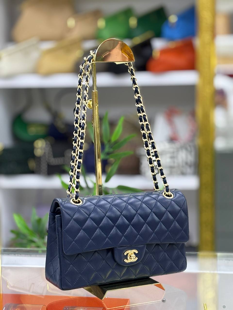 Classic Flap Bag 2.55 Medium | Quilted Lambskin | Gold Chain Strap